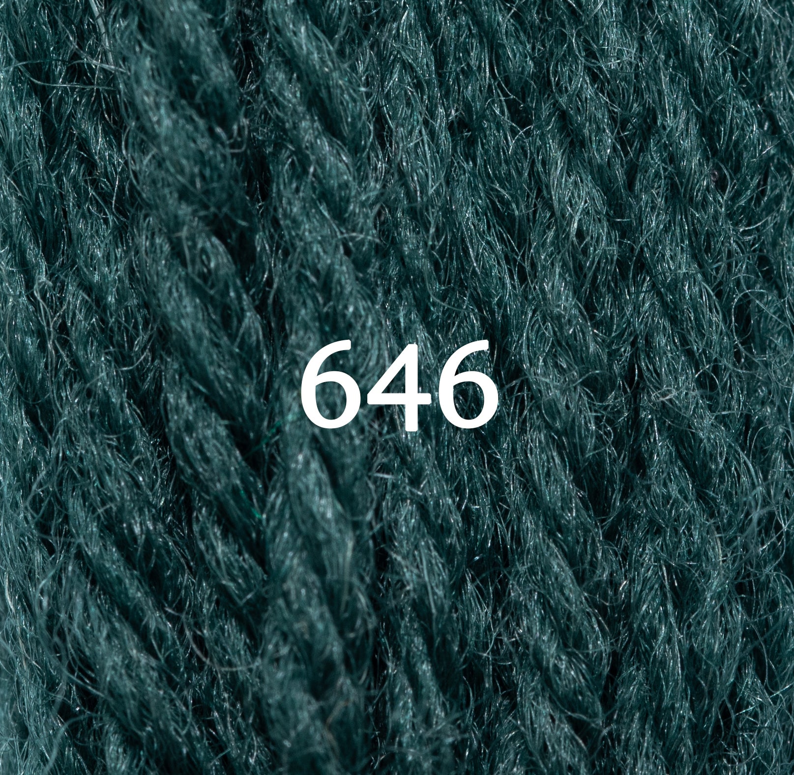 Appletons Crewel Wool 624 - 891