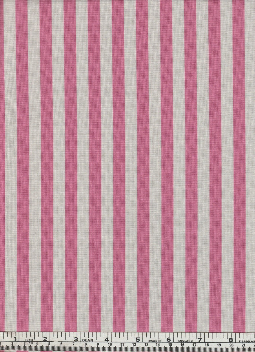 Rene 3 - Comptoir de toile 3 - L'uccello