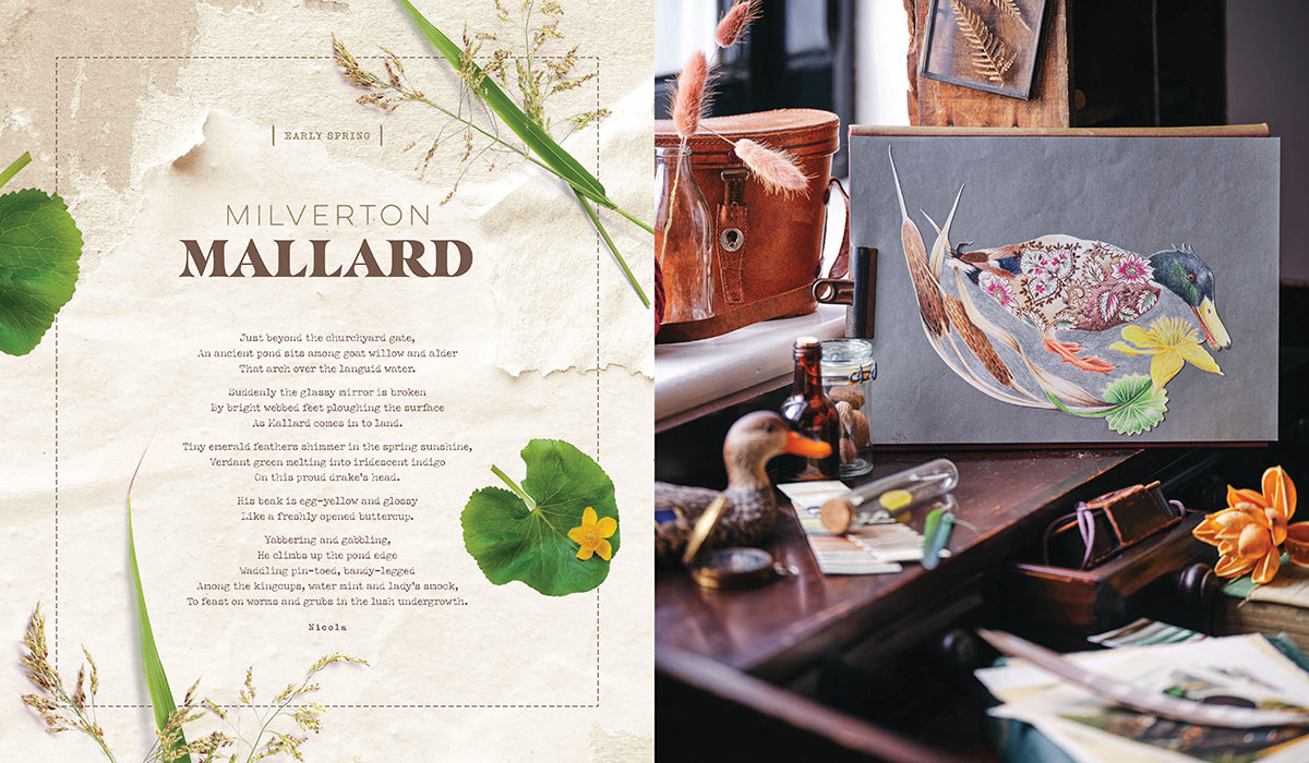 INSPIRATIONS Life in Seasons | Winter & Spring