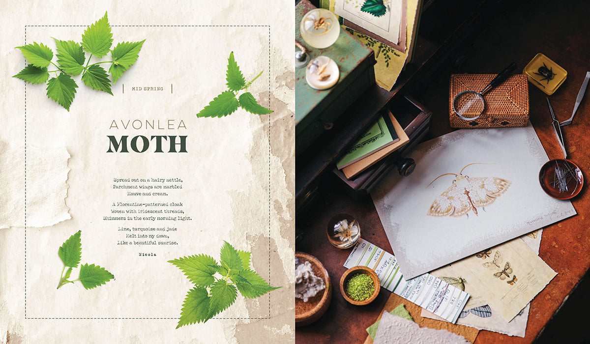 INSPIRATIONS Life in Seasons | Winter & Spring