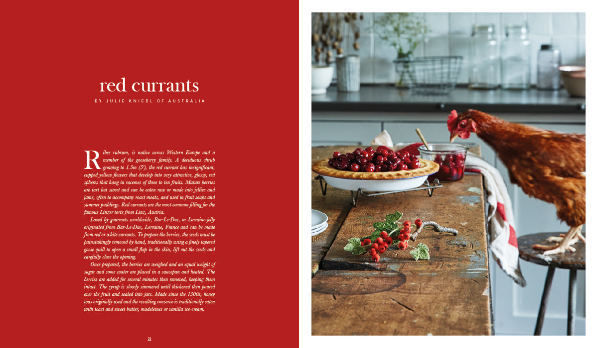 INSPIRATIONS A Passion for Needlework 2 | Factoria VII