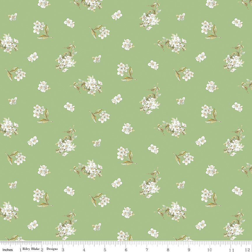 Peter Rabbit & Friends - Jasmine Green - C15864-GREEN