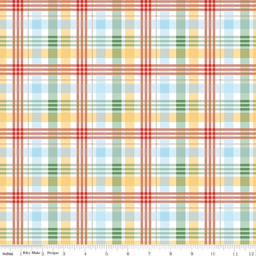 Winnie the Pooh - Plaid Multi - C17005-MULTI