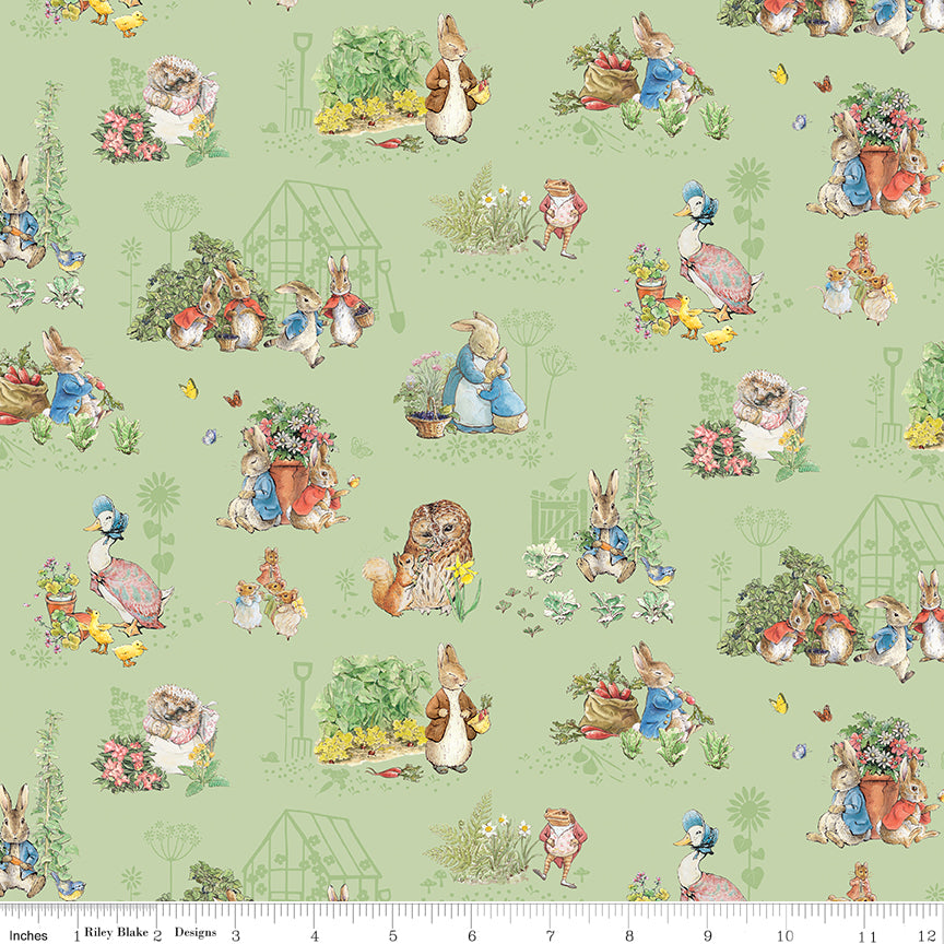 Peter Rabbit & Friends - Characters Fern - CD15861-FERN