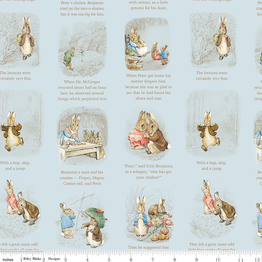 Peter Rabbit™ and Benjamin Bunny™ - Storytime Blue - CD17252-BLUE