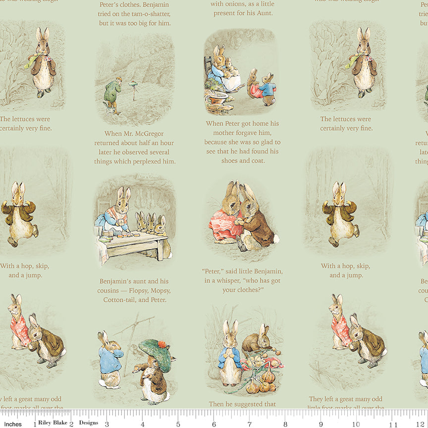 Peter Rabbit™ and Benjamin Bunny™ - Storytime Green - CD17252-GREEN