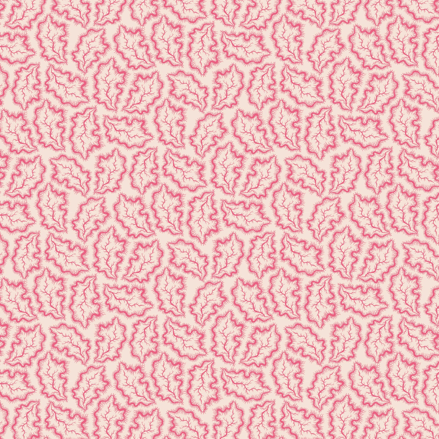 Darling Buds of May DV7669 Phebe 1 - Devonstone Collection